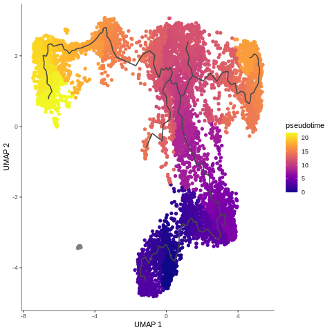 Pseudotime plot, showing the development of T-cells – starting in dark blue on DN cells and ending up on mature T-cells, marked in yellow on pseudotime scale and (going in the opposite direction) DP-M1 branch which is marked in light orange.