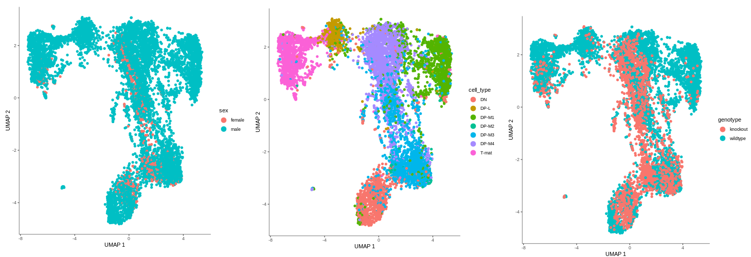 Sex data plotted on the obtained graph, compared with the cell types and genotype graphs. No female cells in DP-L and DP-M1 can be observed, but they appear in other cell types.