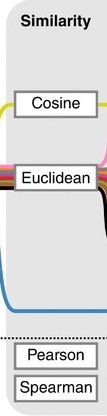 Fragment cut from the pipeline - similarity: cosine and Euclidean (additionally Pearson, Spearman)