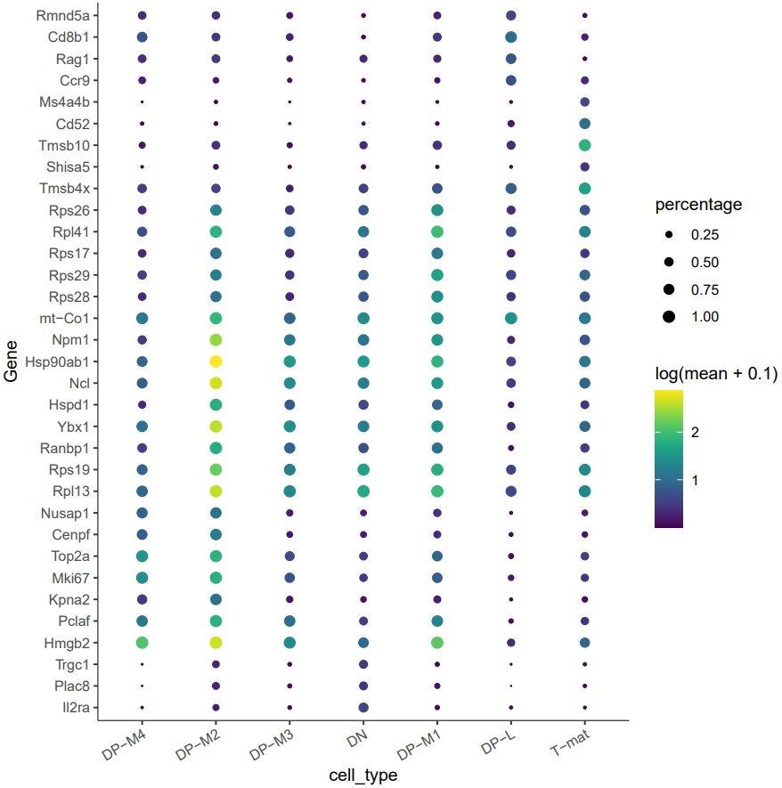 A table showing top markers - which genes (and their percentage) are the most expressed in each cell type.