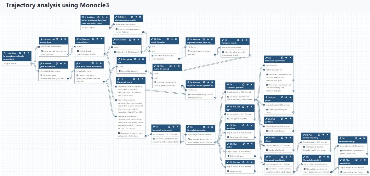 A scheme connecting all the tools used in this tutorial.