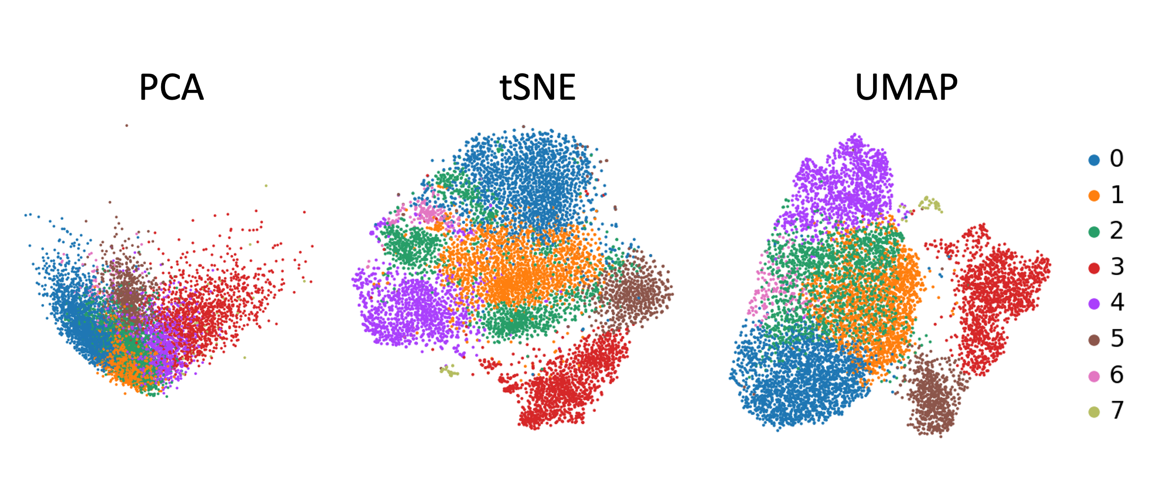 PCA-tSNE-UMAP. 