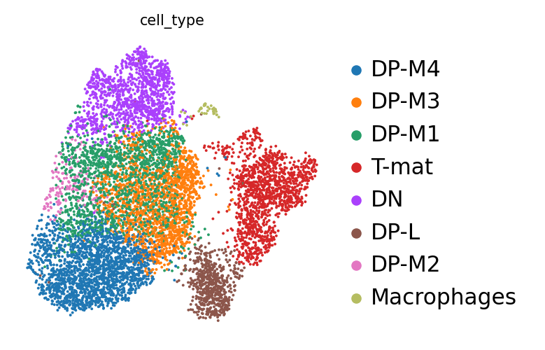 Annotated cell types. 