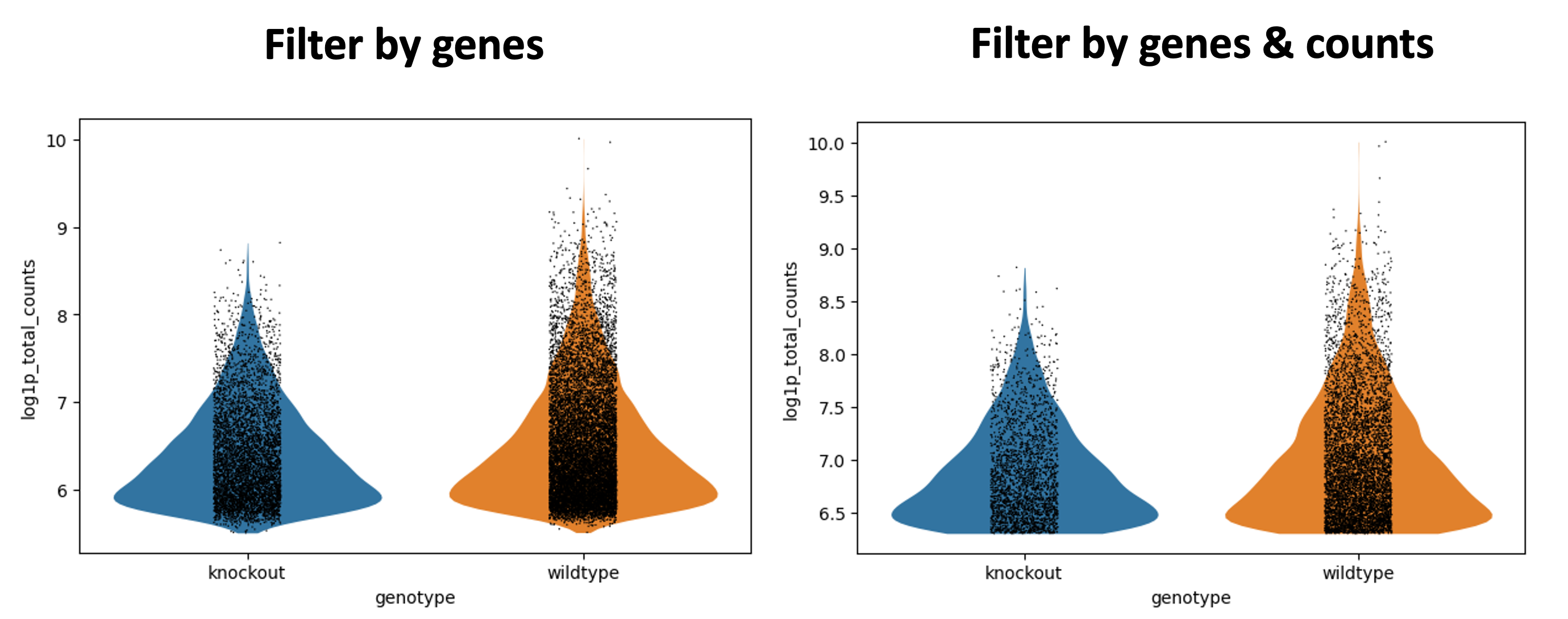 Violinplot-filtertwice. 