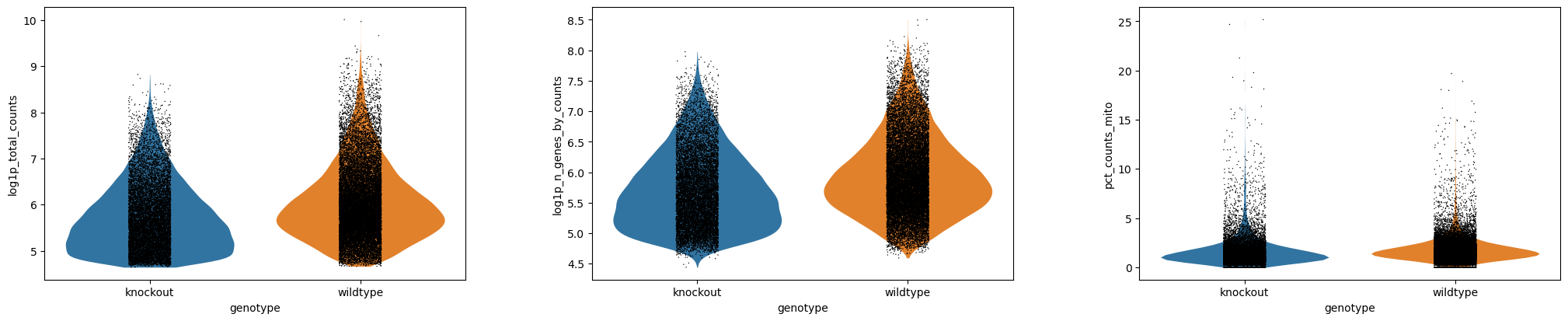 Violin - genotype - log. 