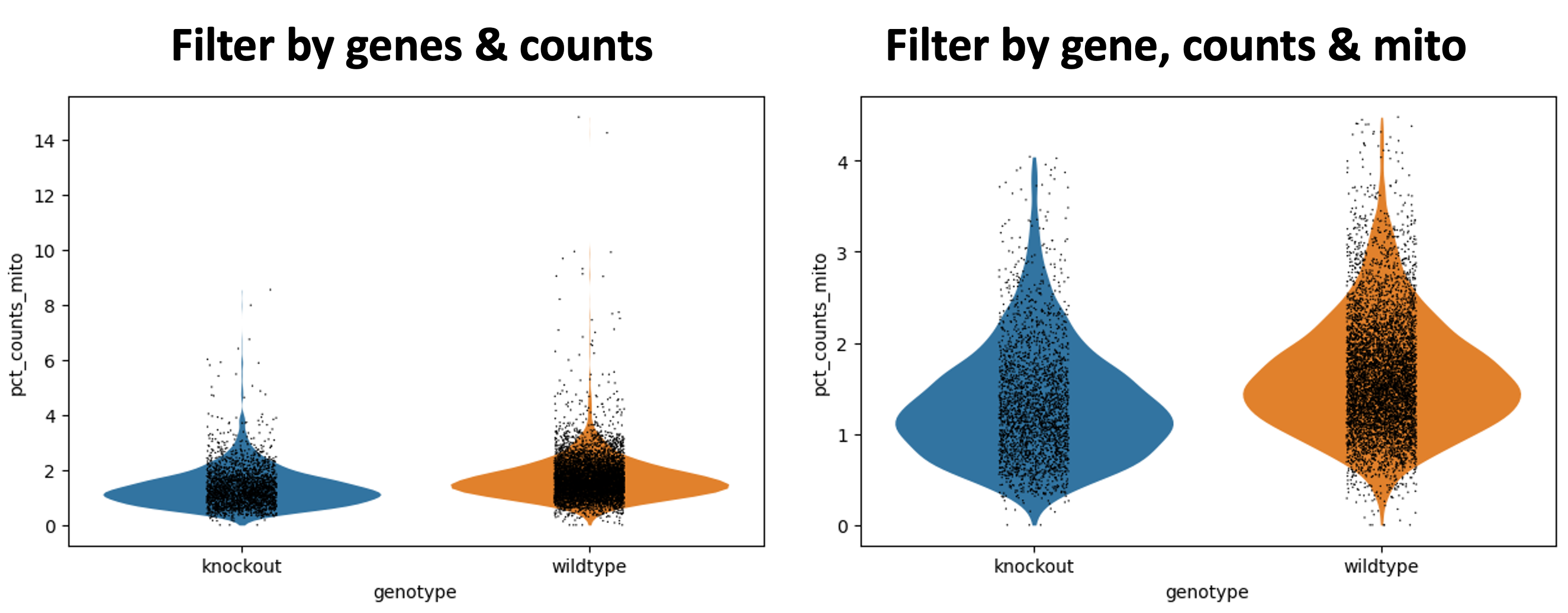 Violinplot-filtermito. 