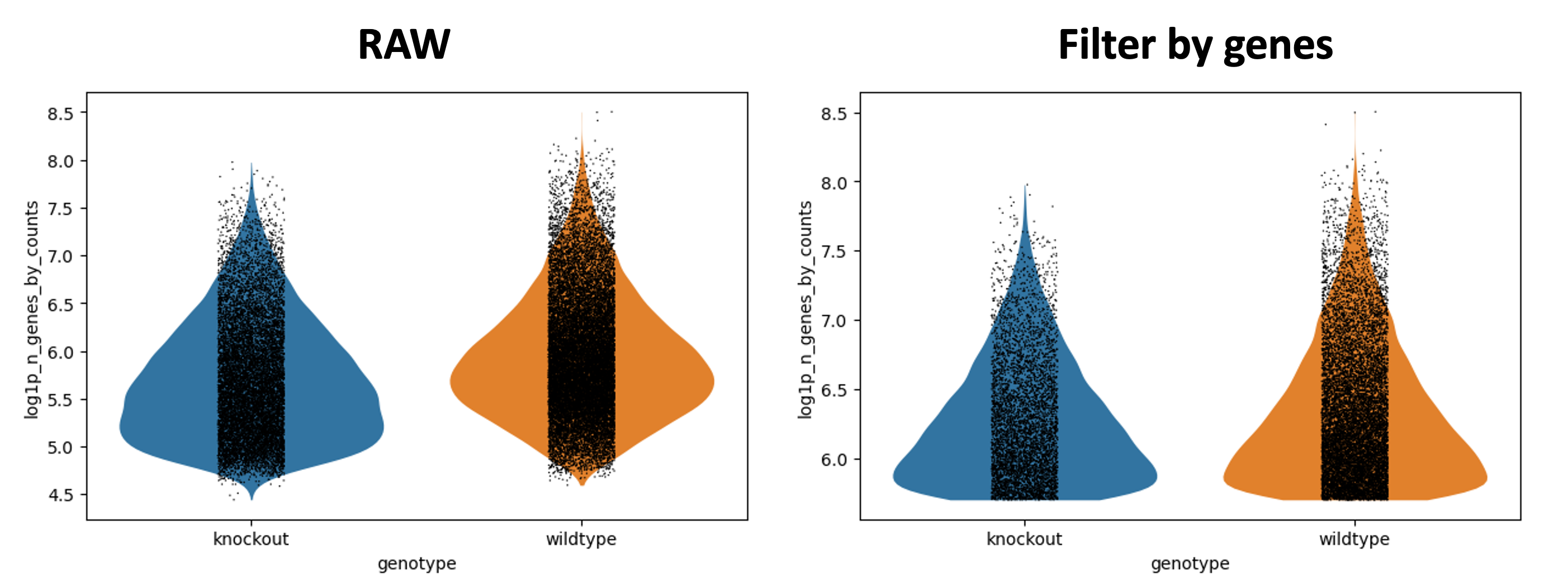 Violinplot-filteronce. 