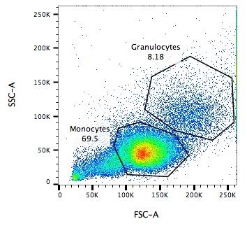 Mismo diagrama de dispersión, pero ahora los monocitos y granulocitos se muestran como zonas coloreadas.