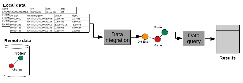 Local data tables and remote data with gene and proteins is combined in data integration. Now a graph is produced with differential expression pointing to a gene which points to a protein. Next the data is queried and results produced.