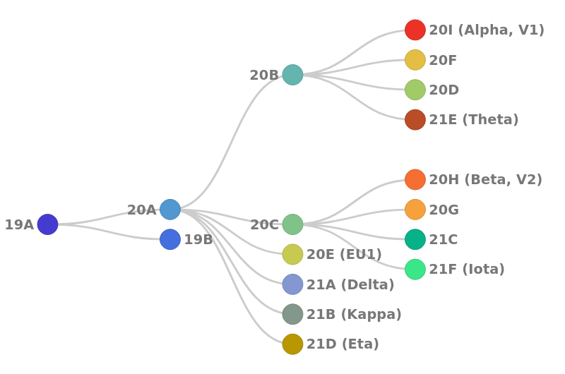 Illustration of phylogenetic relationship of clades, as used in Nextclade. 