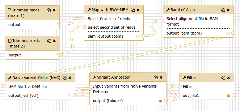 Variant calling workflow. 