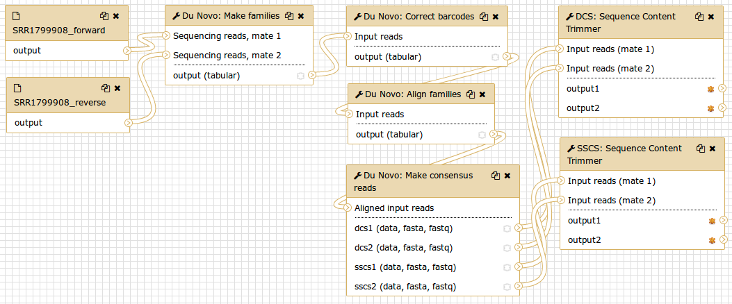 Du Novo workflow. 