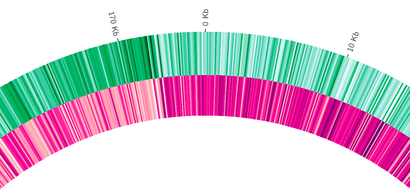 Heatmap Plot