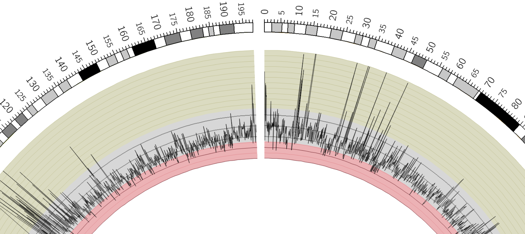 Line Plot