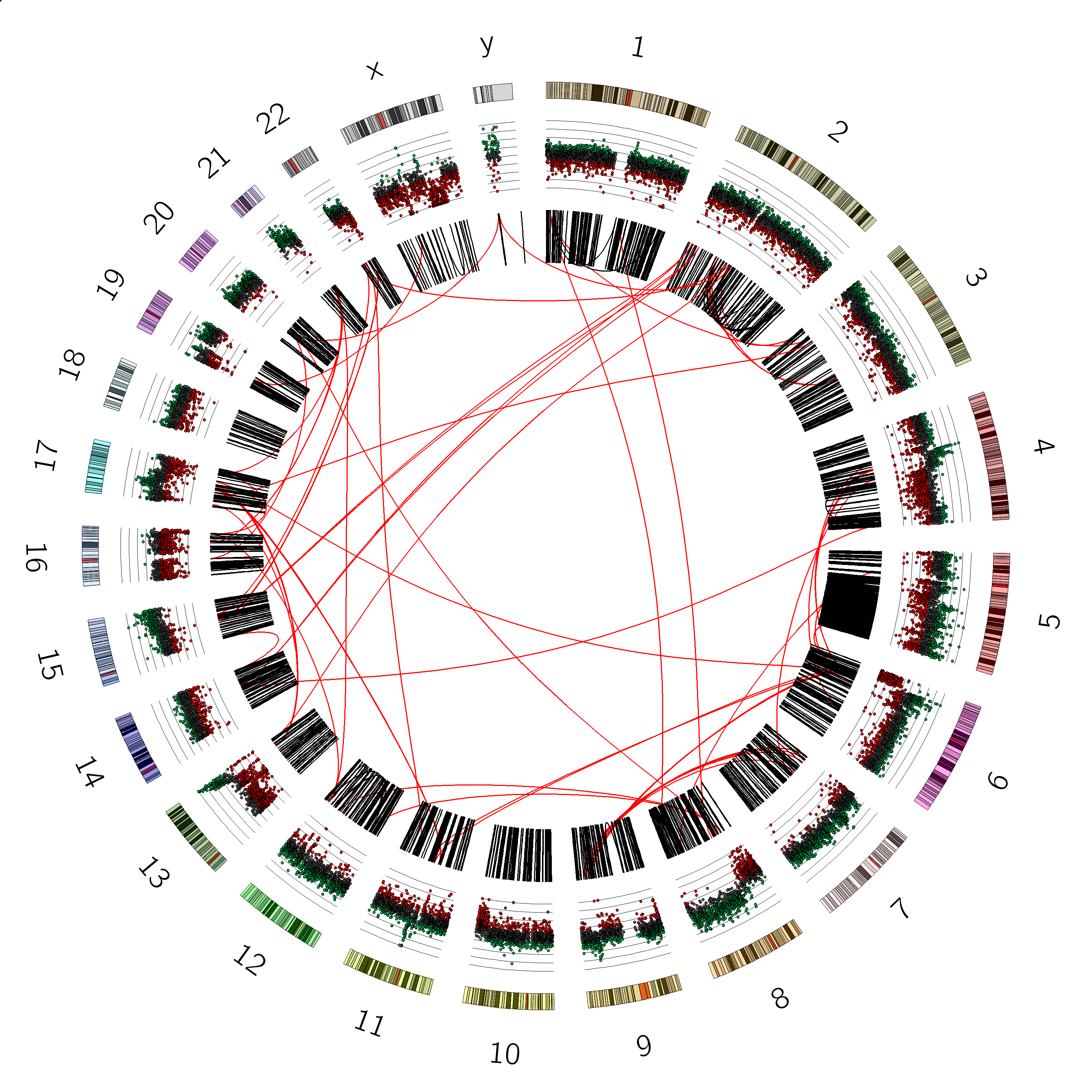 Circos plot with SNV track with rules and axes defined. 