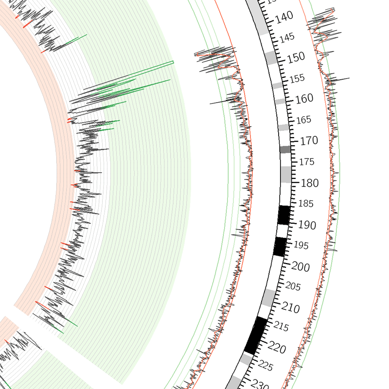 Example of a Circos line track