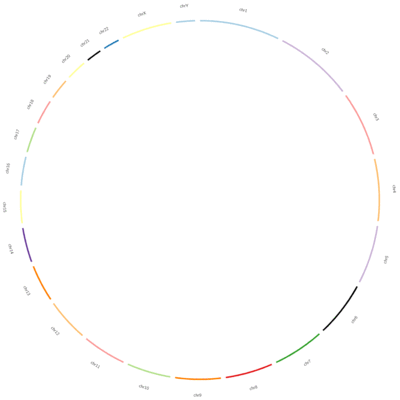 Gif of a circos plots through the development process